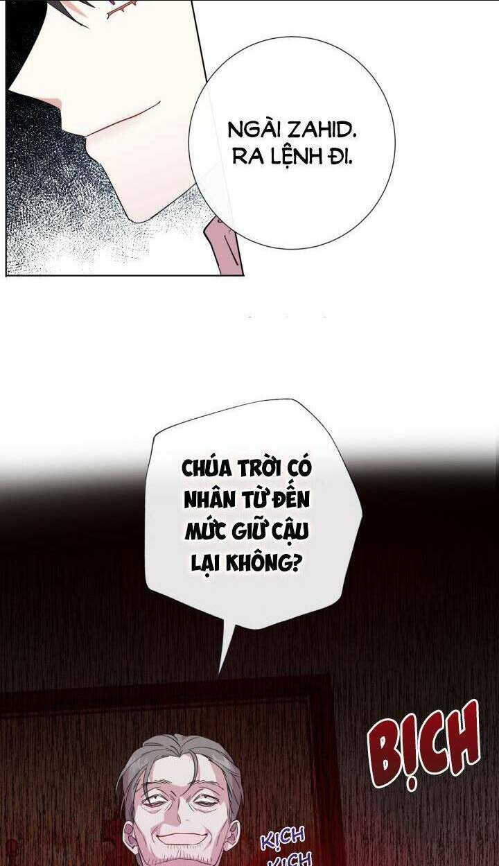 Chapter 58