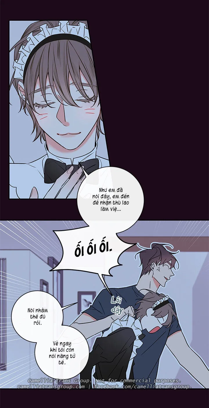 Chapter 55