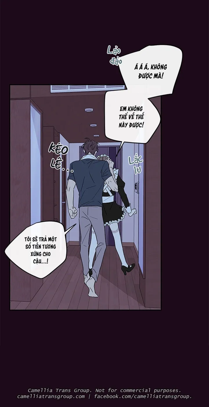 Chapter 55