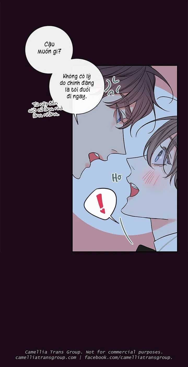 Chapter 55