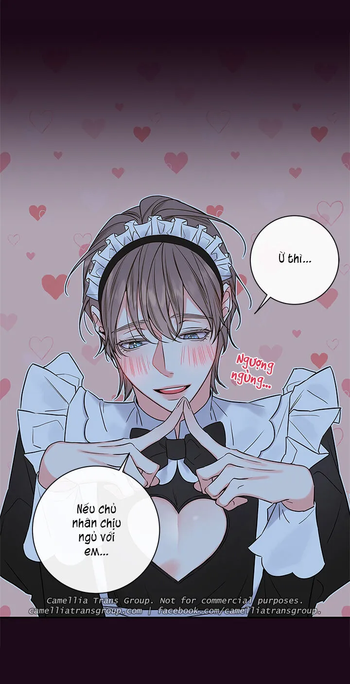 Chapter 55