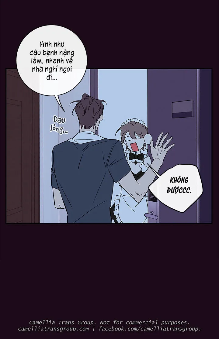 Chapter 55