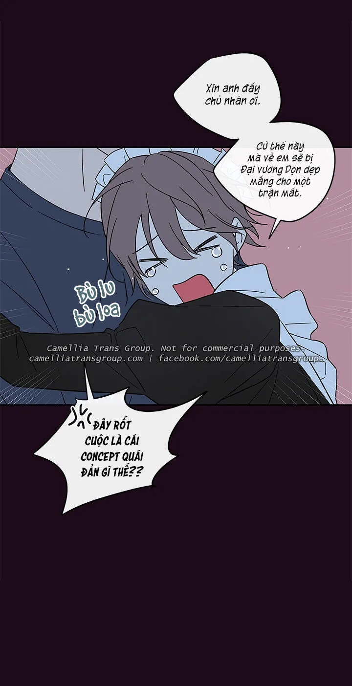 Chapter 55