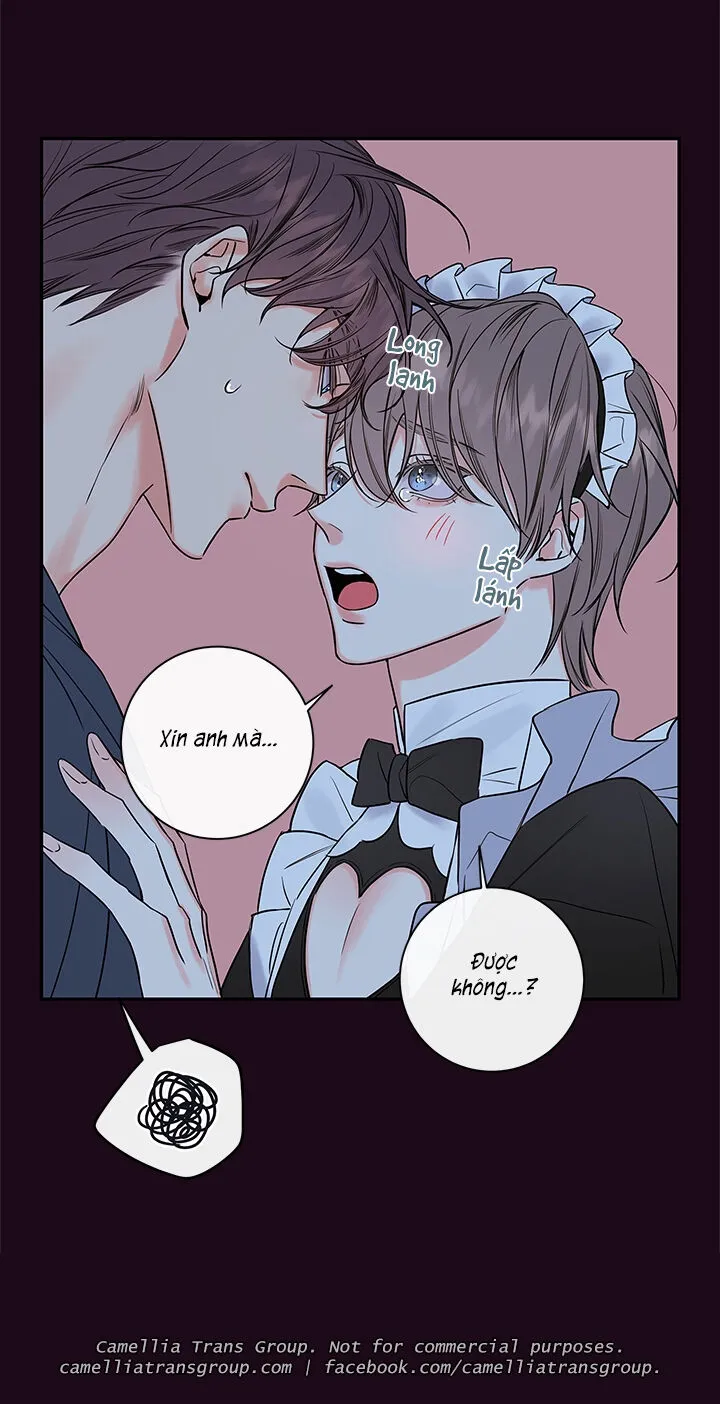 Chapter 55
