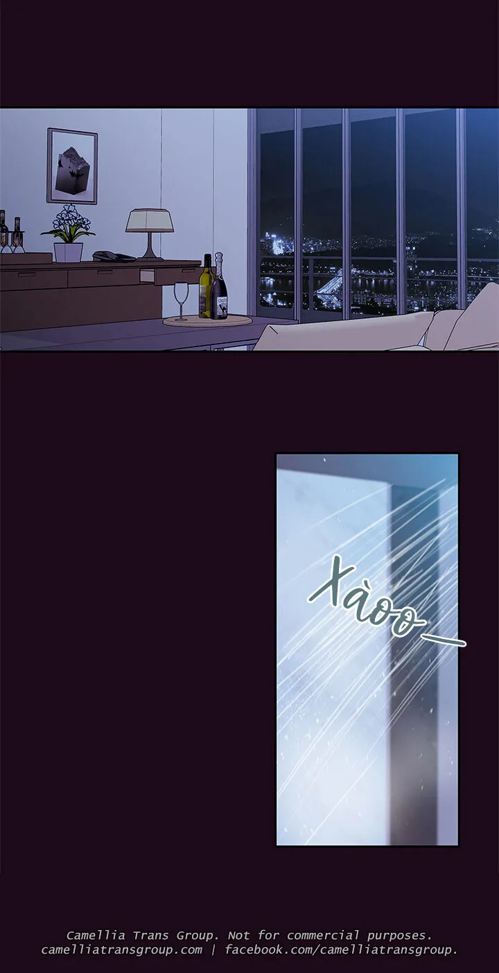 Chapter 55