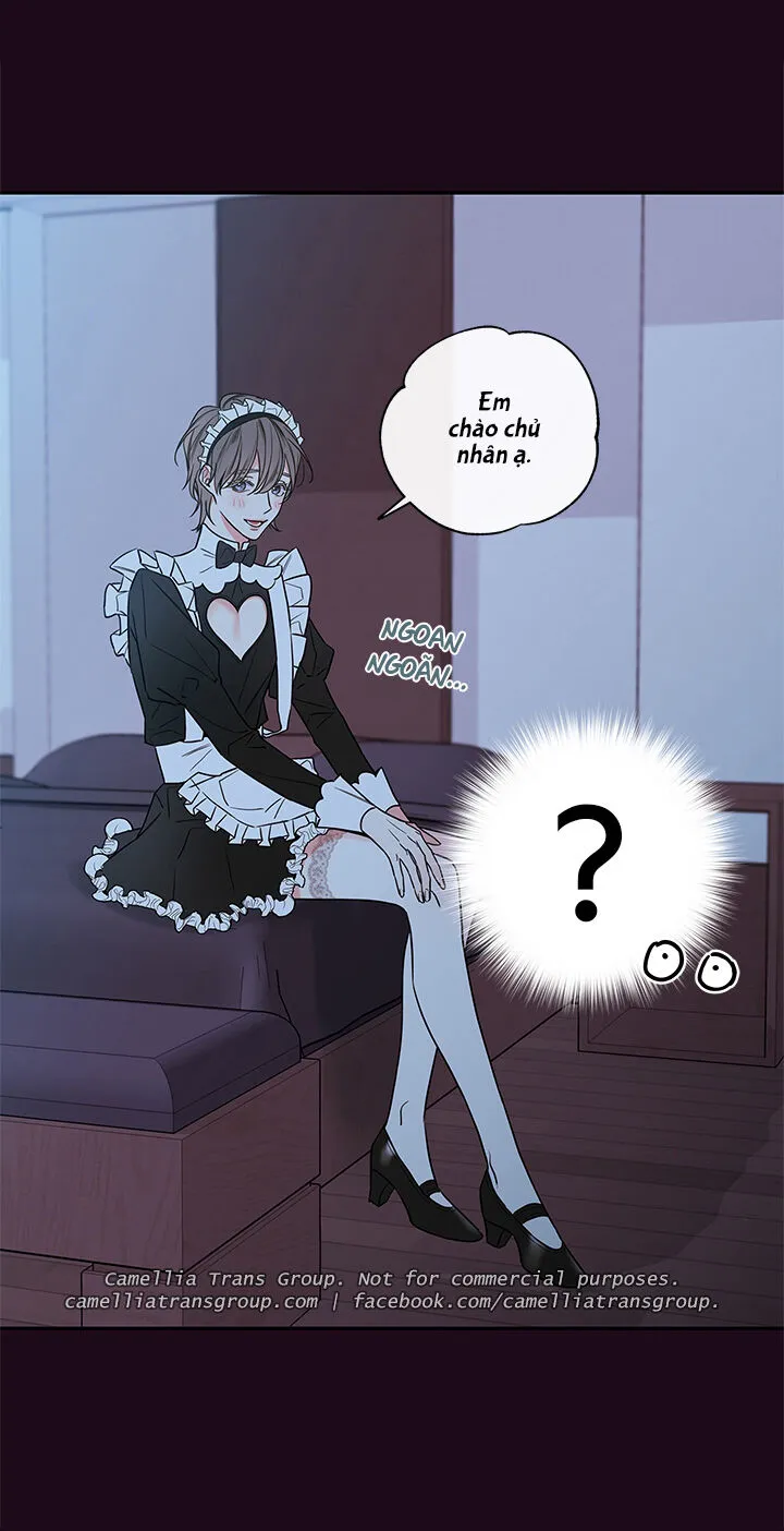 Chapter 55