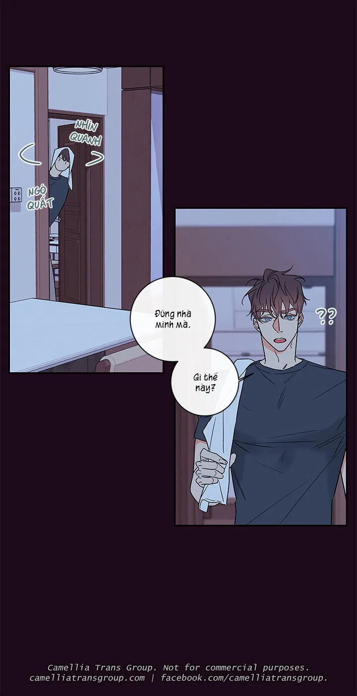 Chapter 55