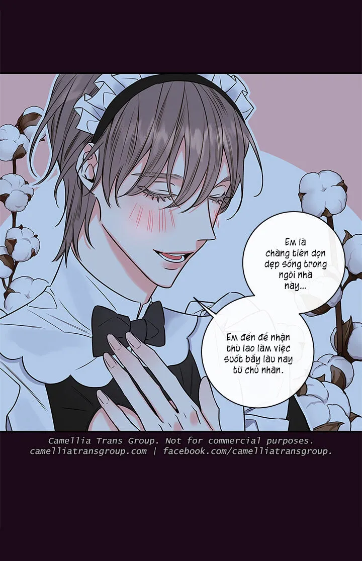 Chapter 55