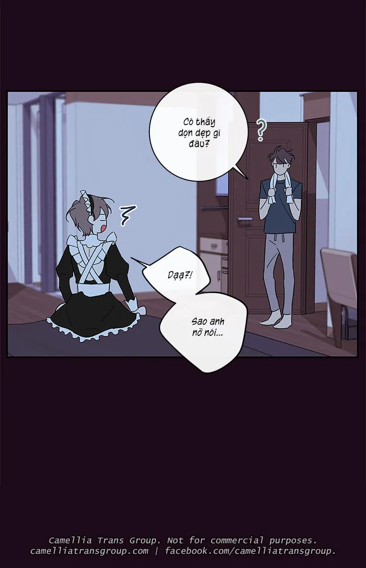 Chapter 55