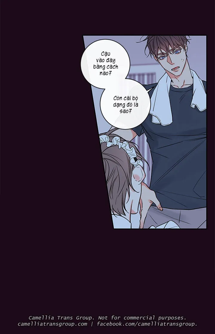 Chapter 55