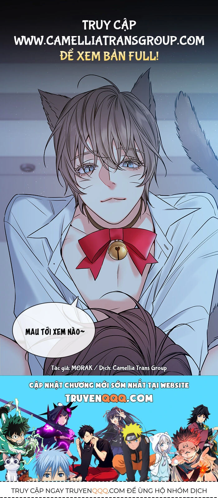 Chapter 53