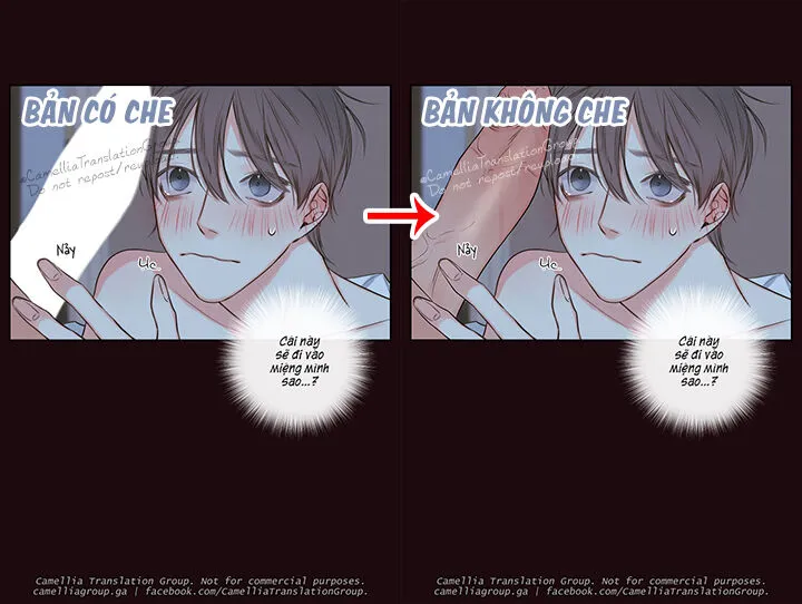 Chapter 52
