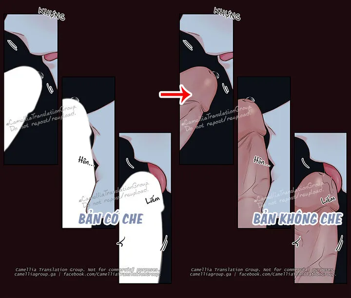 Chapter 52
