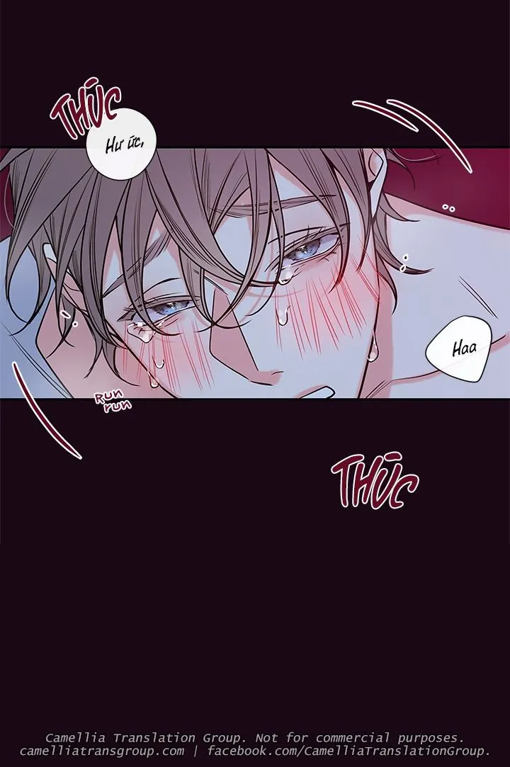 Chapter 48