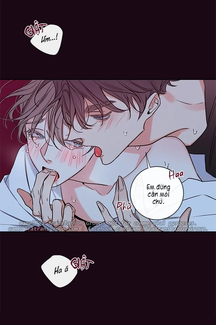 Chapter 48