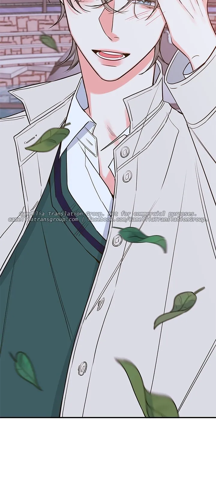 Chapter 46