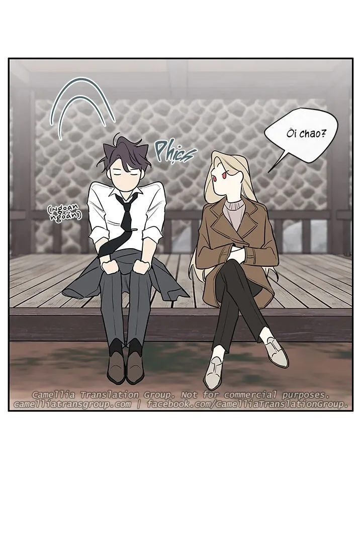 Chapter 43