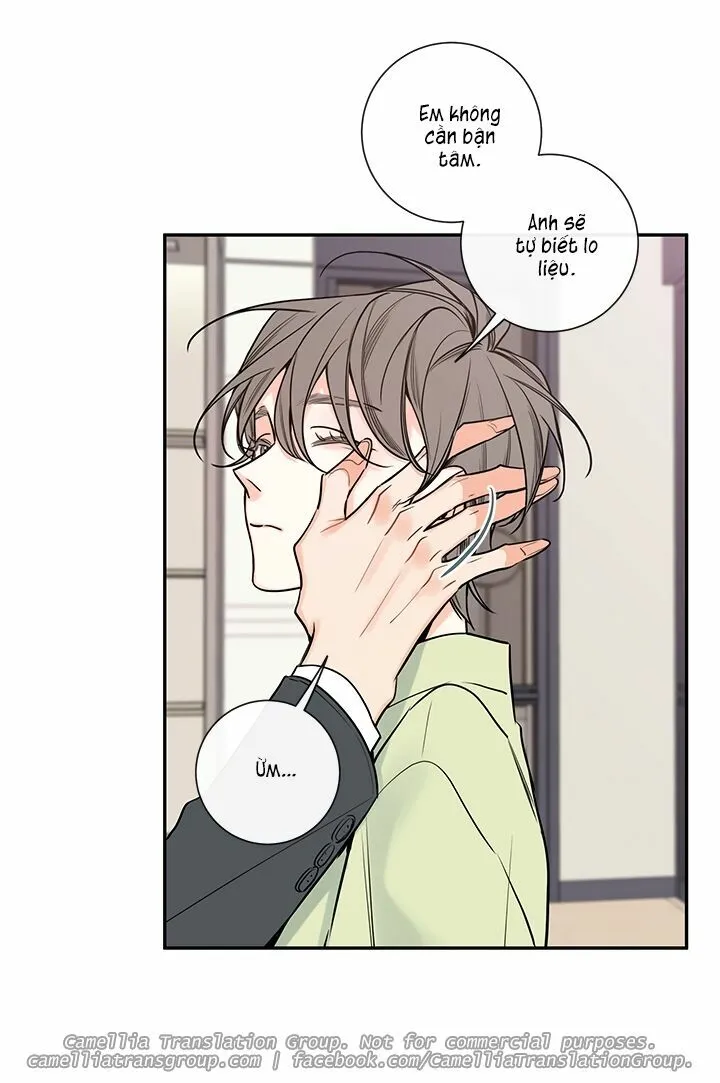 Chapter 41