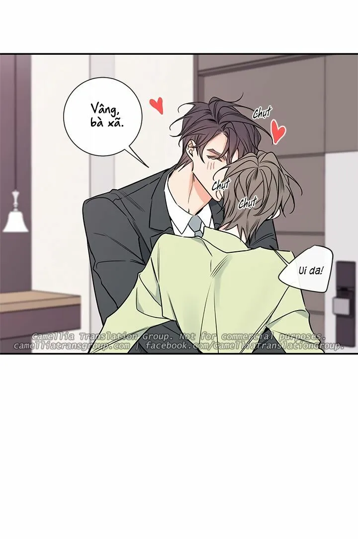 Chapter 41