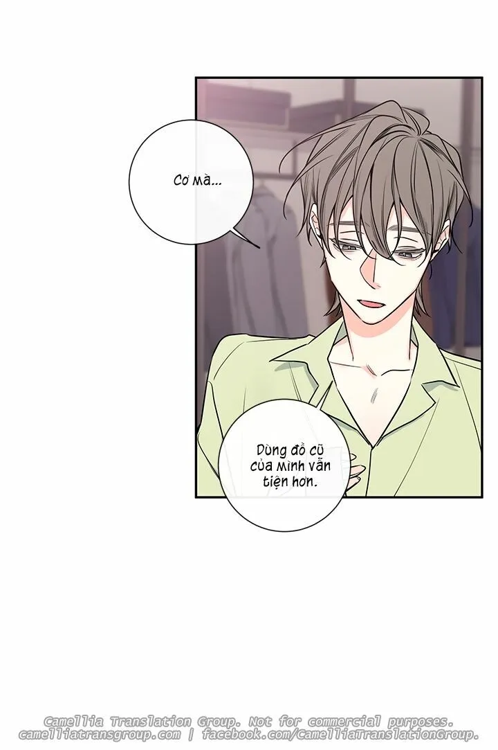 Chapter 41