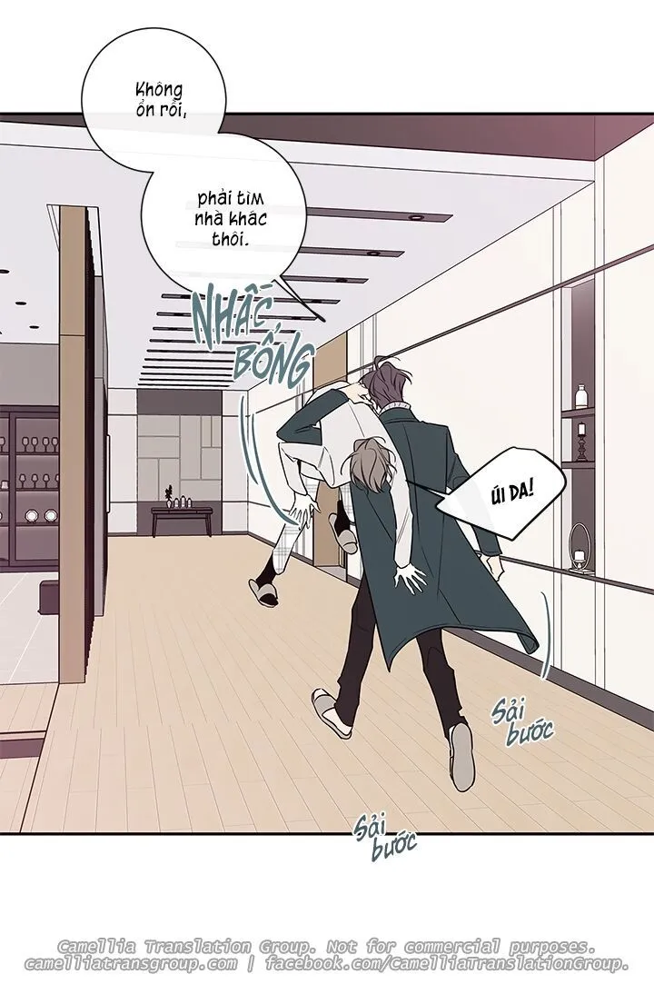 Chapter 40