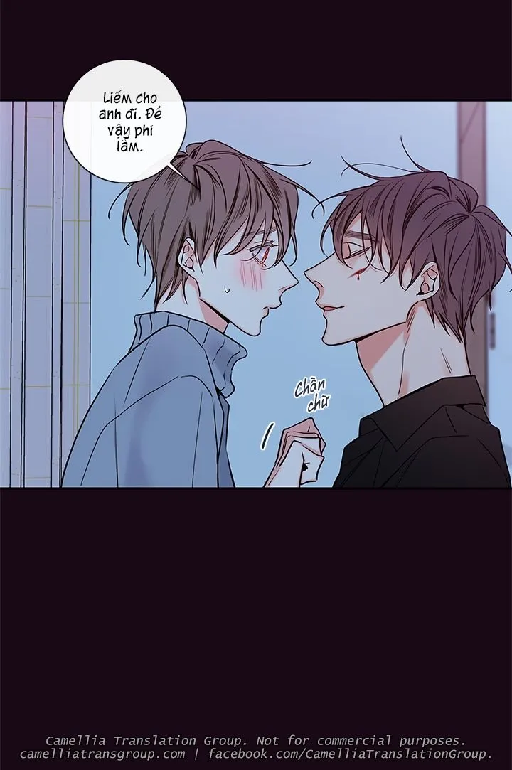 Chapter 36