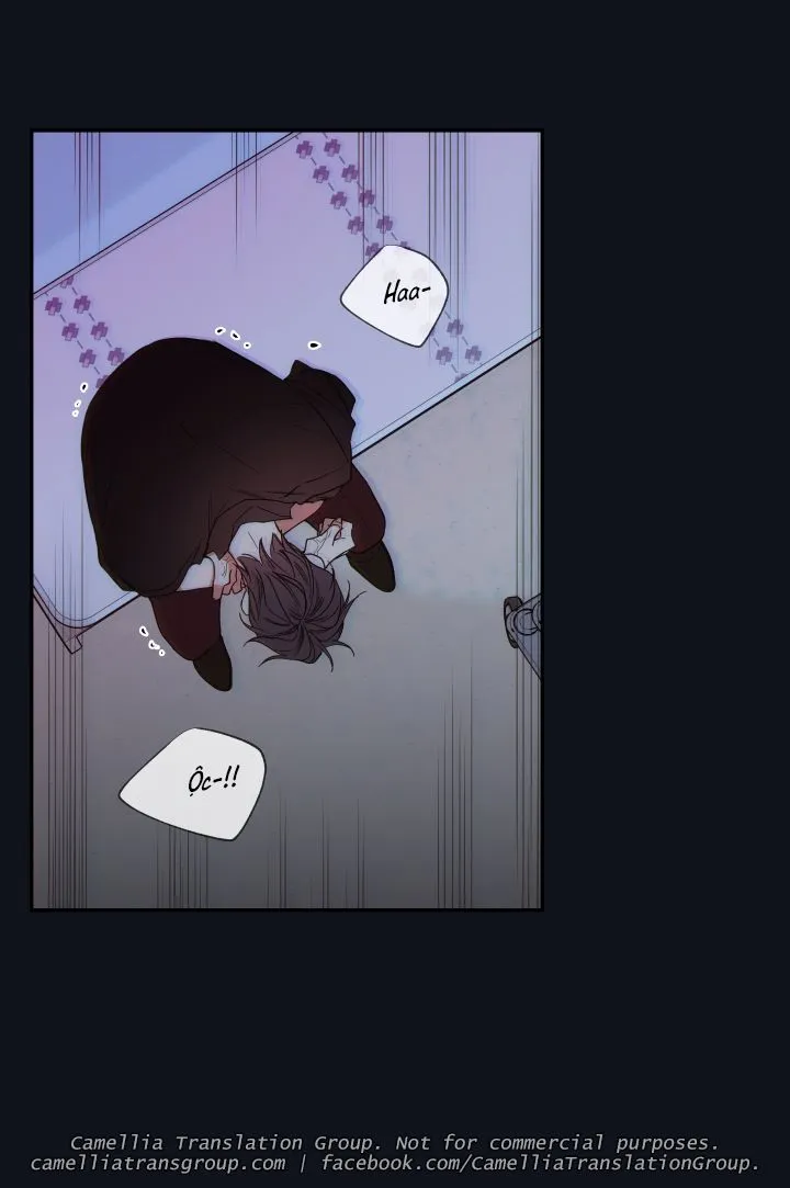 Chapter 34