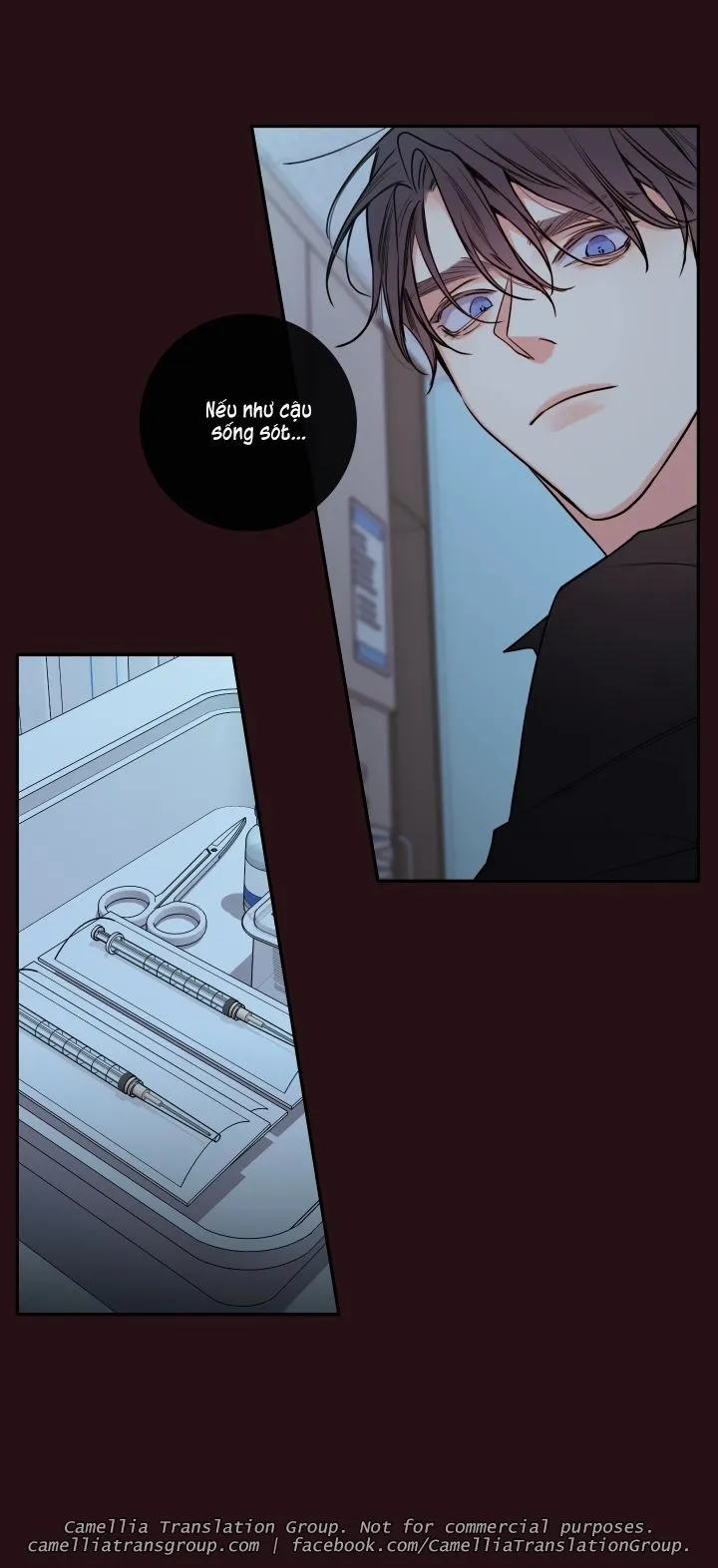 Chapter 34
