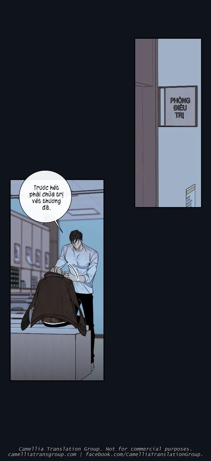 Chapter 33