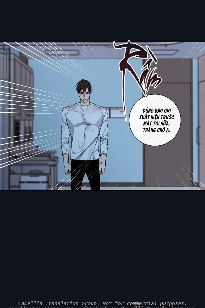 Chapter 33