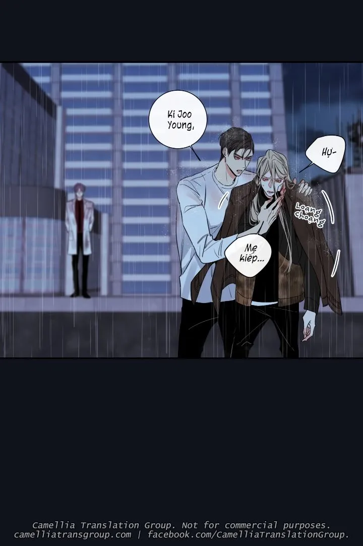 Chapter 33