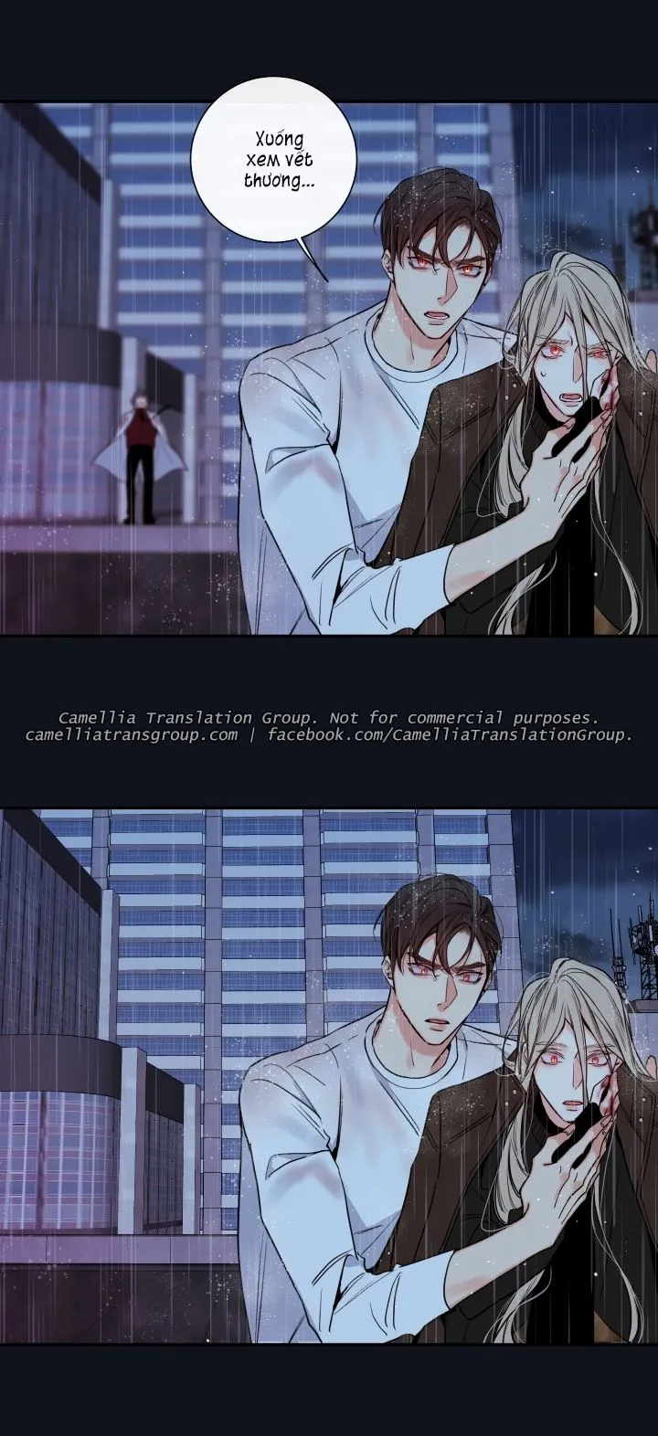 Chapter 33