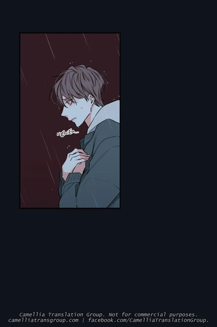 Chapter 31