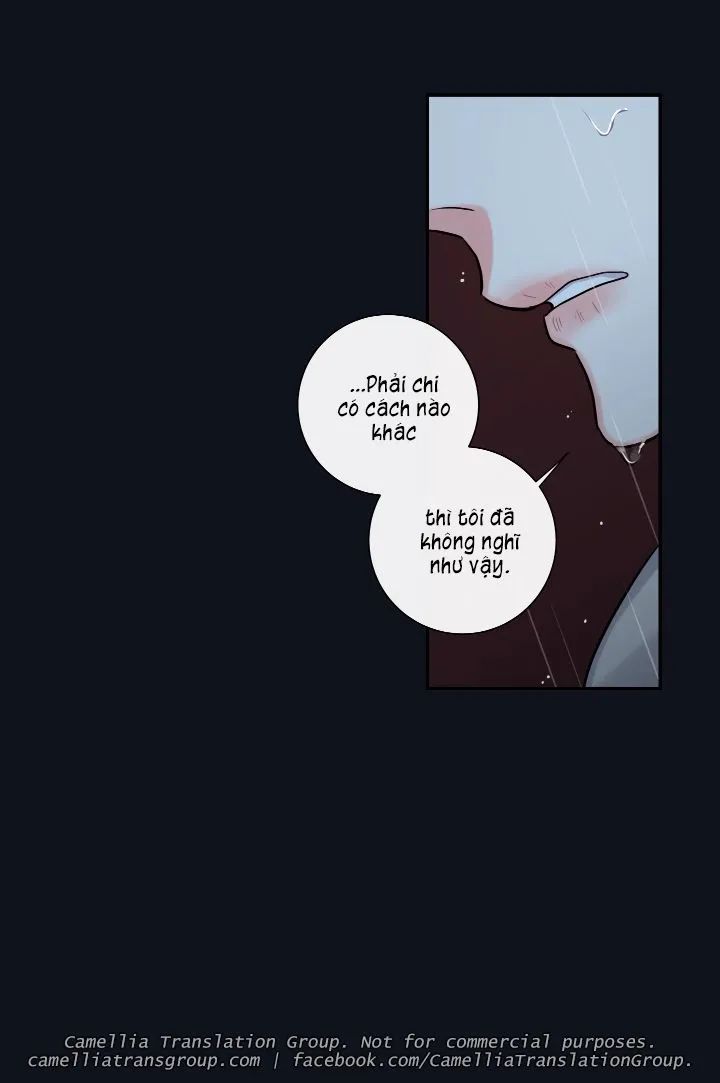 Chapter 31