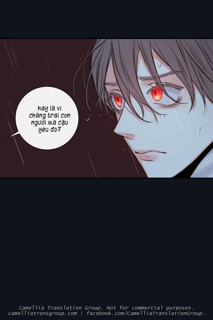 Chapter 31