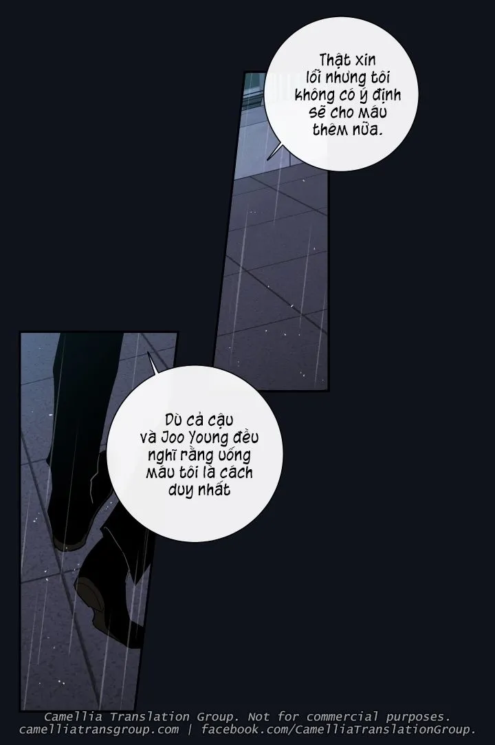 Chapter 31