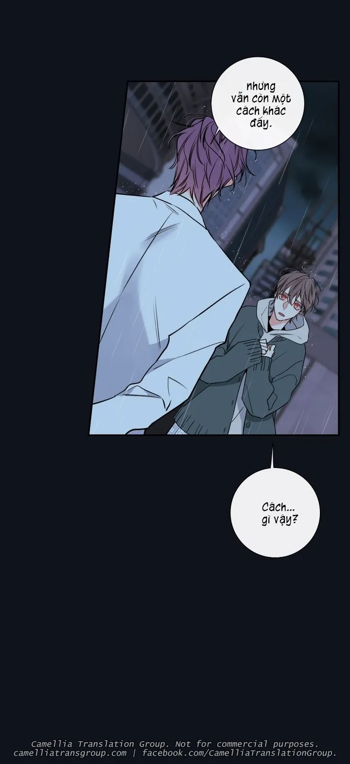 Chapter 31
