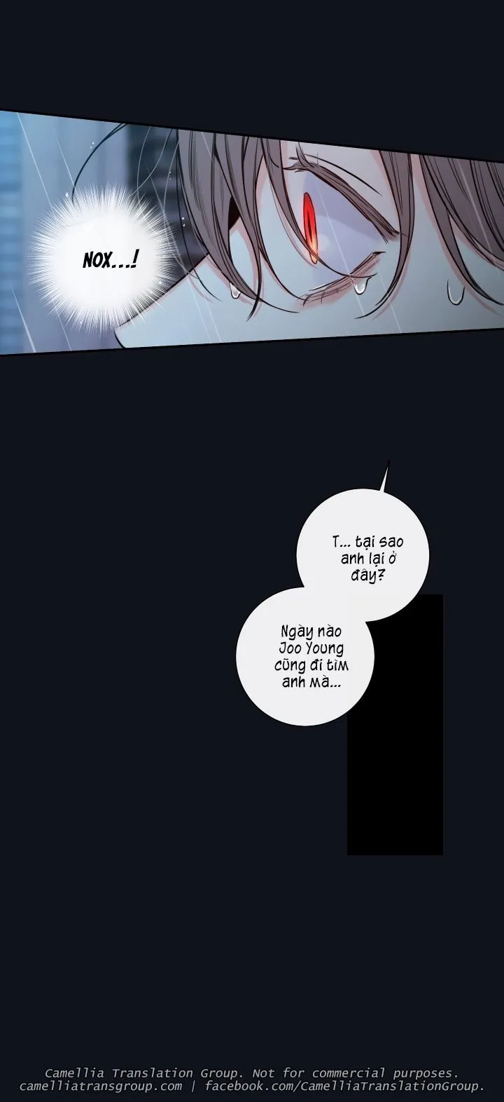 Chapter 31