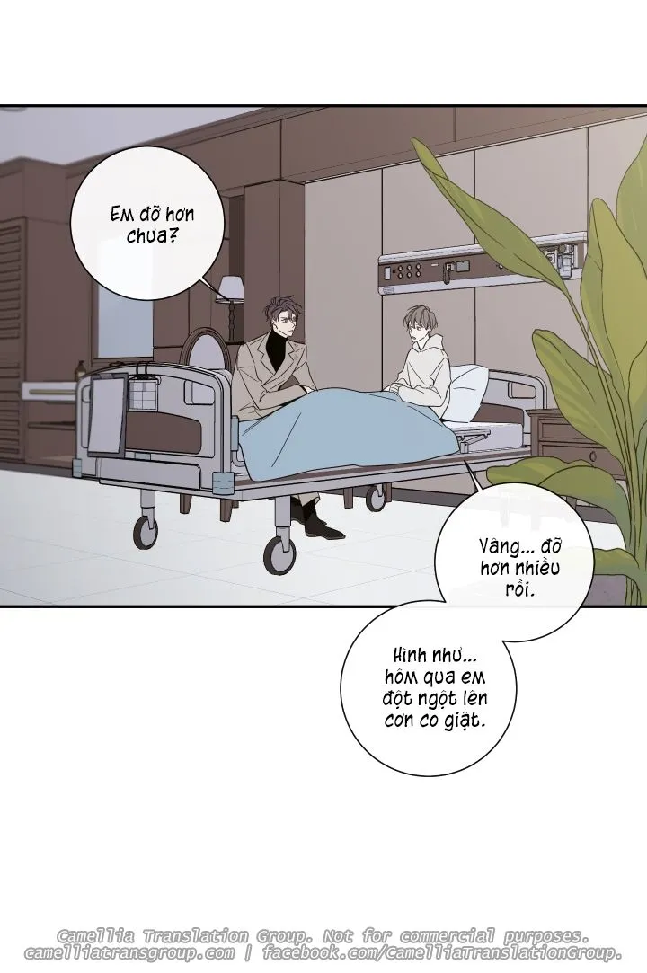 Chapter 30