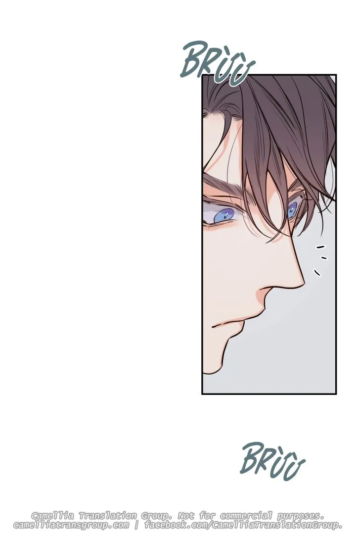 Chapter 30