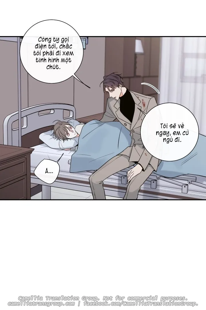Chapter 30