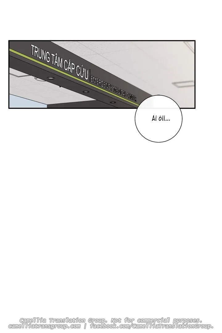 Chapter 30