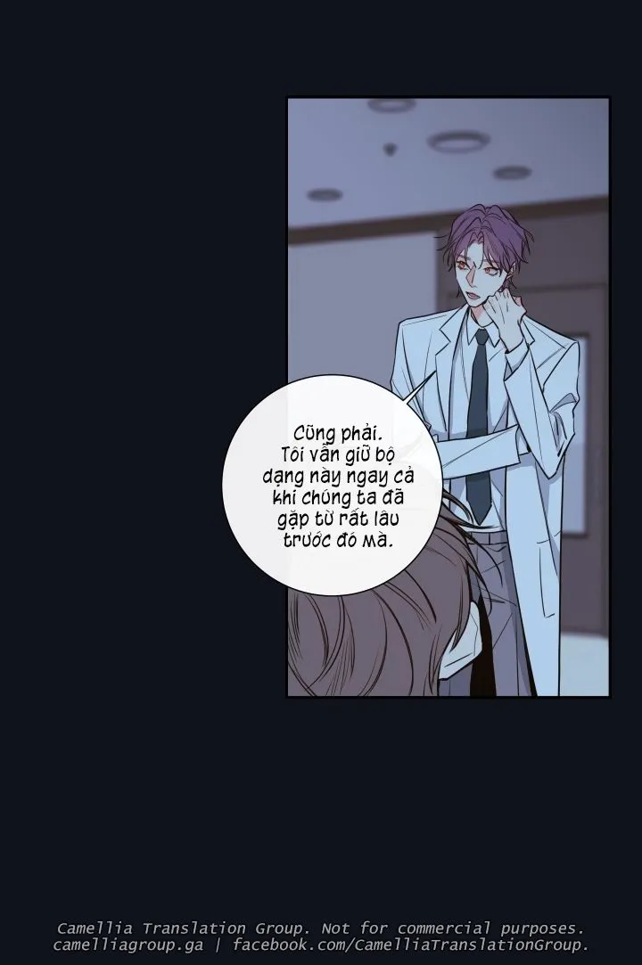 Chapter 29