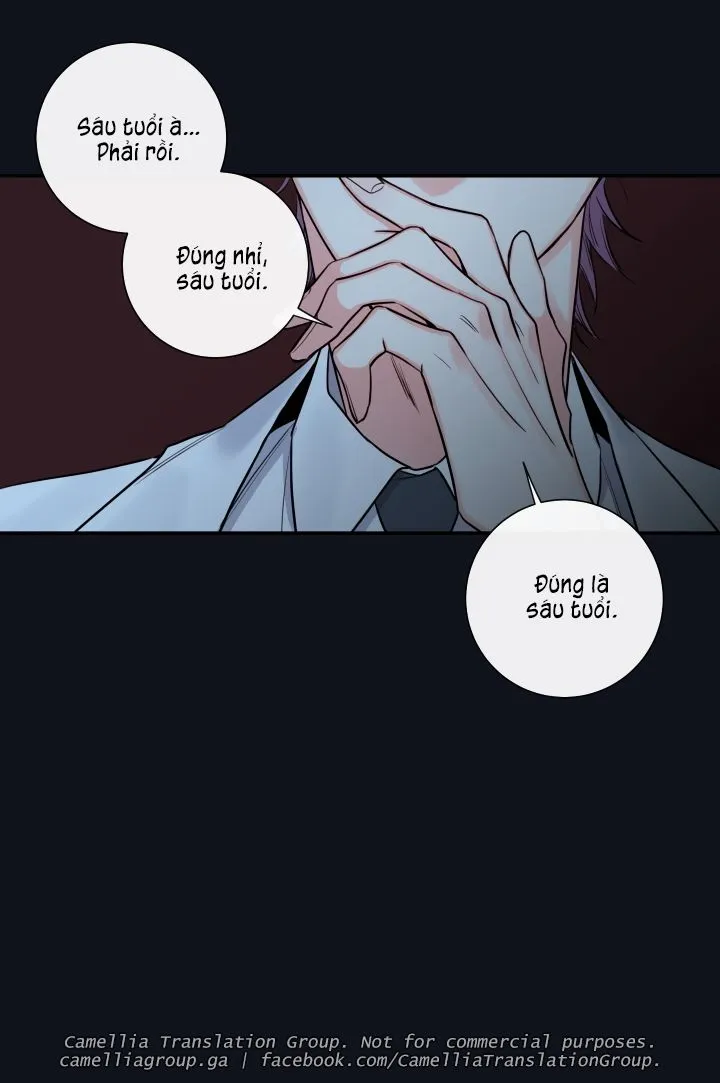 Chapter 29