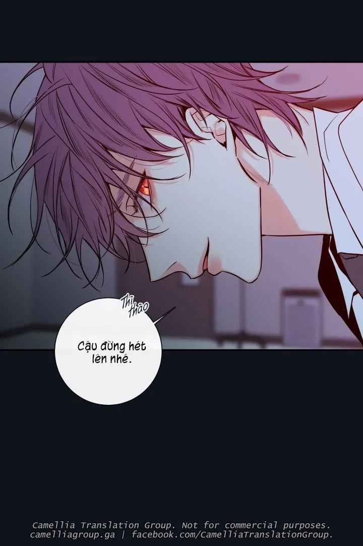 Chapter 29
