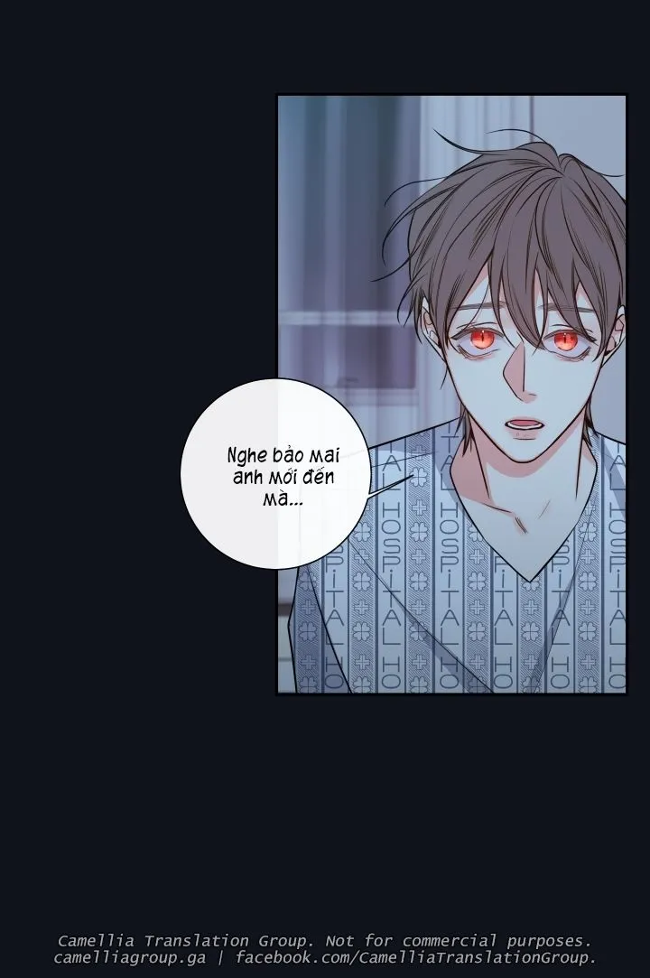 Chapter 29