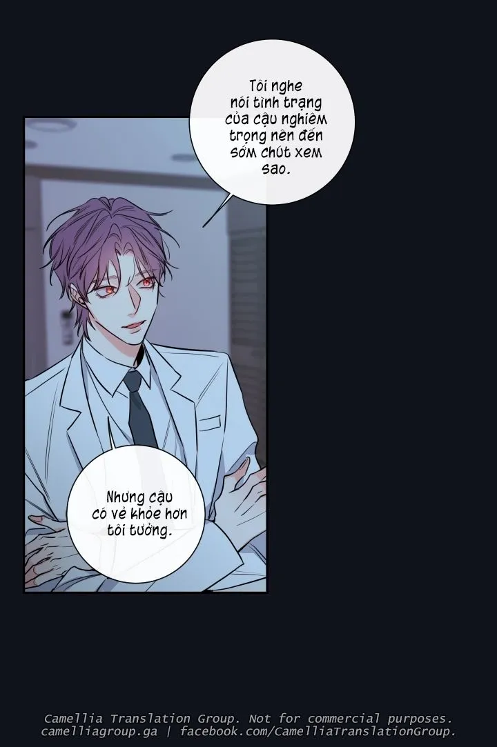 Chapter 29