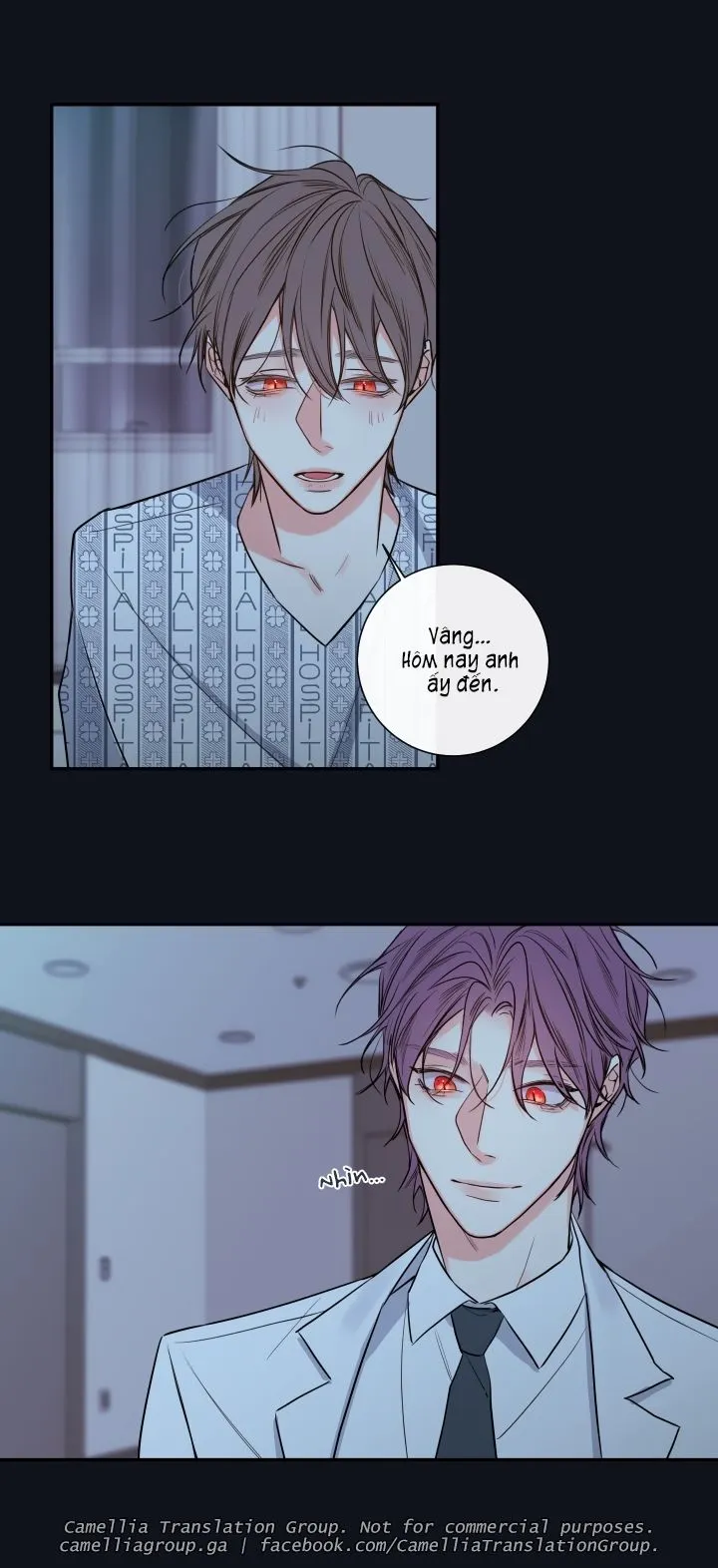Chapter 29