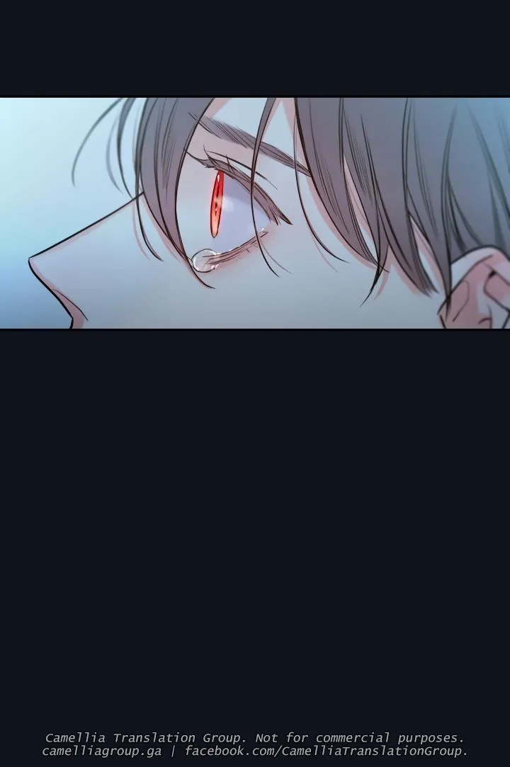 Chapter 28