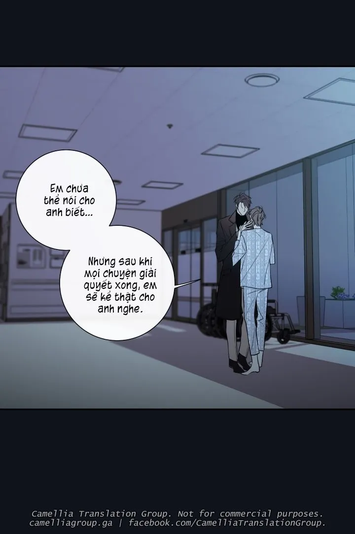 Chapter 28